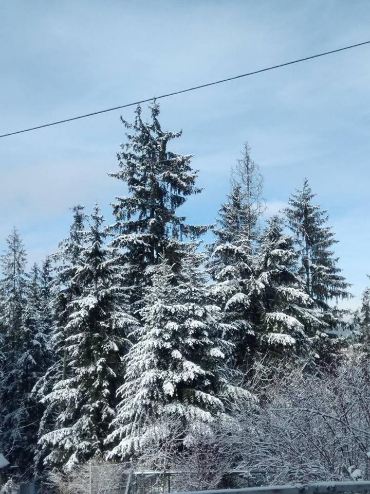 Cicha Dolinka Apartamento Zakopane Exterior foto